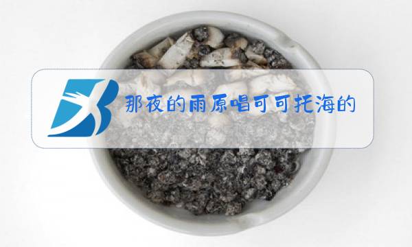 那夜的雨原唱可可托海的牧羊人图片