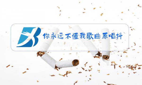 你永远不懂我歌曲原唱抖音版图片
