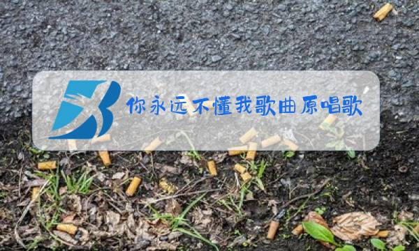 你永远不懂我歌曲原唱歌词妹妹要是来看我图片