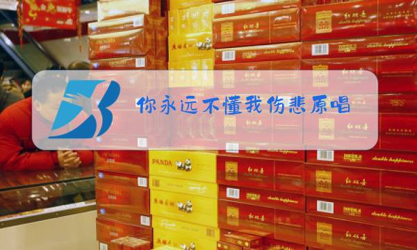 你永远不懂我伤悲原唱图片