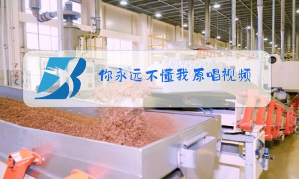 你永远不懂我原唱视频图片