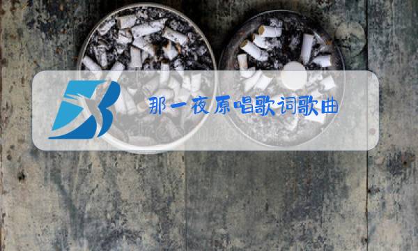 那一夜原唱歌词歌曲图片