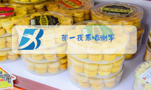 那一夜原唱谢军图片