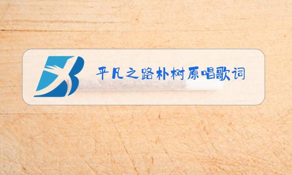 平凡之路朴树原唱歌词图片