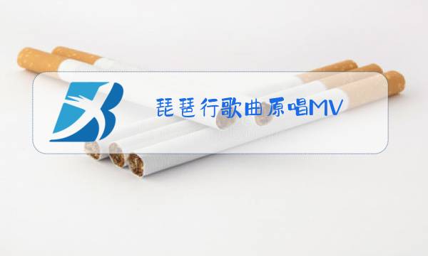 琵琶行歌曲原唱MV图片