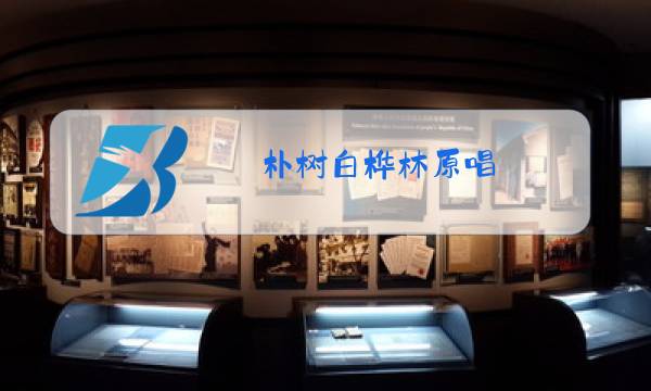 朴树白桦林原唱图片