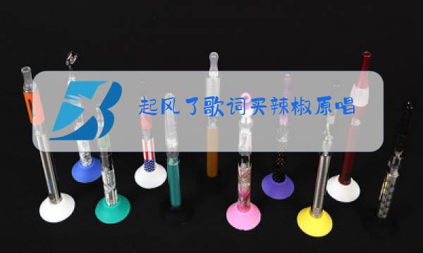 起风了歌词买辣椒原唱图片