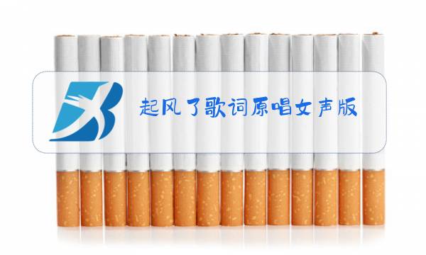 起风了歌词原唱女声版图片