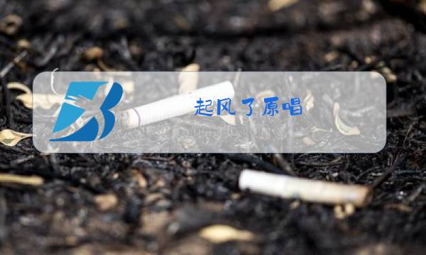 起风了原唱图片