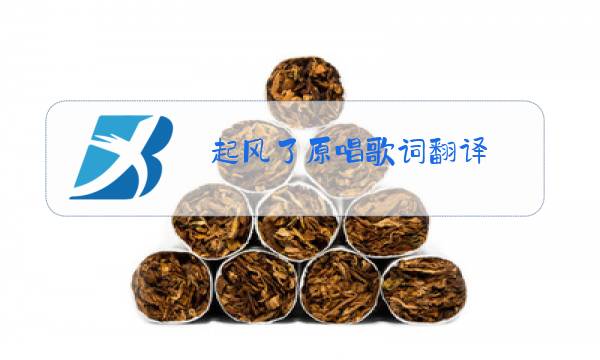 起风了原唱歌词翻译图片