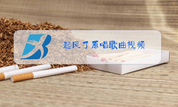 起风了原唱歌曲视频图片