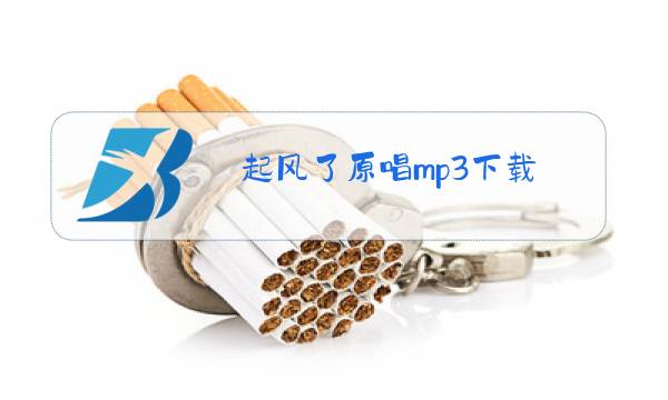 起风了原唱mp3下载图片