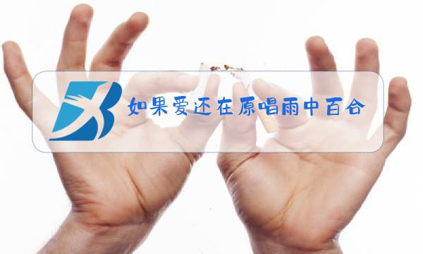 如果爱还在原唱雨中百合下载图片