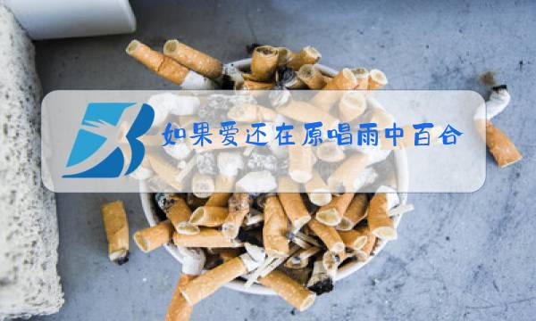 如果爱还在原唱雨中百合爱奇艺图片