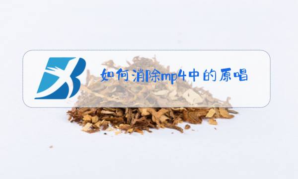 如何消除mp4中的原唱图片