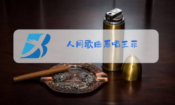 人间歌曲原唱王菲图片