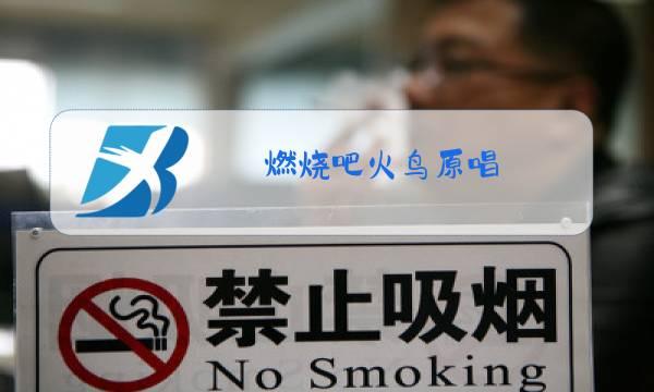 燃烧吧火鸟原唱图片