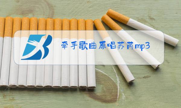 牵手歌曲原唱苏芮mp3下载图片