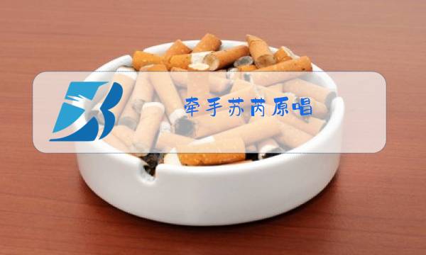 牵手苏芮原唱图片