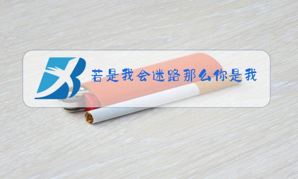 若是我会迷路那么你是我的眼原唱是谁图片