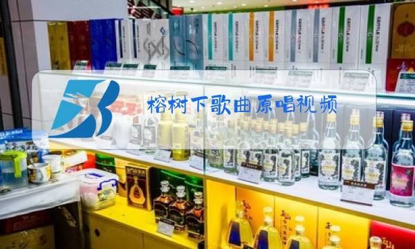 榕树下歌曲原唱视频图片