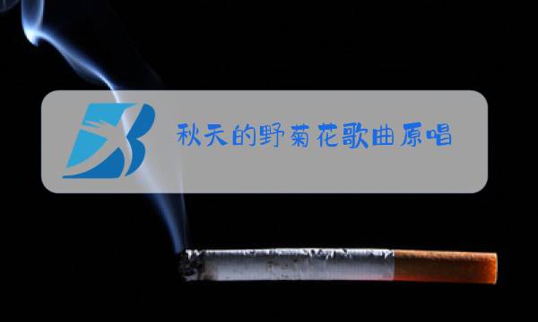 秋天的野菊花歌曲原唱图片