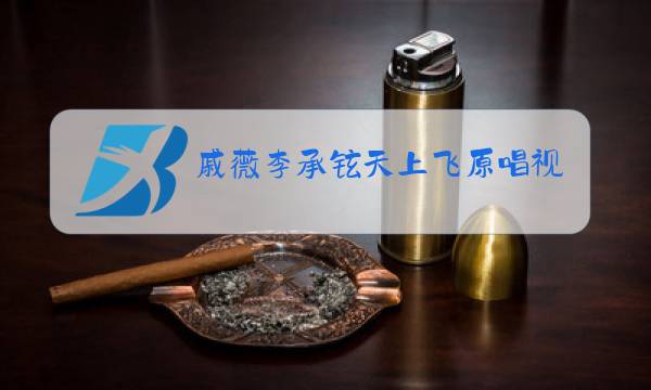 戚薇李承铉天上飞原唱视频图片
