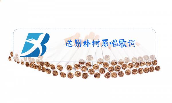 送别朴树原唱歌词图片
