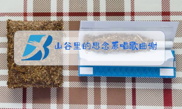 山谷里的思念原唱歌曲谢军是哪一年的歌图片