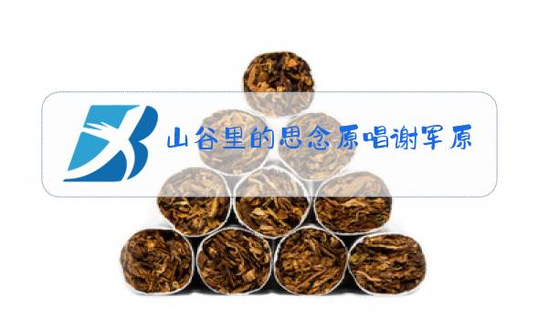 山谷里的思念原唱谢军原晶图片