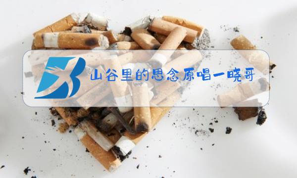 山谷里的思念原唱一晓哥图片