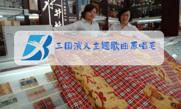 三国演义主题歌曲原唱毛阿敏图片