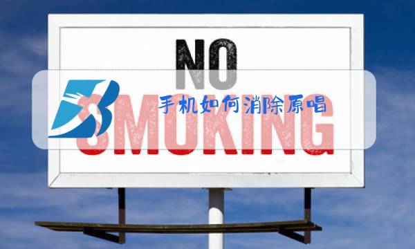 手机如何消除原唱图片