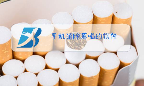 手机消除原唱的软件图片