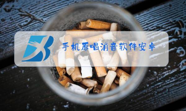 手机原唱消音软件安卓图片