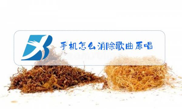 手机怎么消除歌曲原唱图片