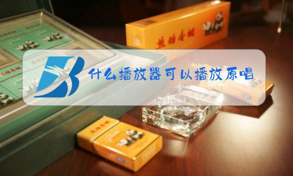 什么播放器可以播放原唱伴唱图片