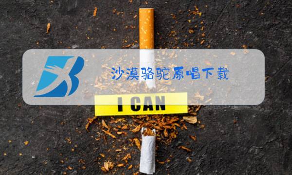 沙漠骆驼原唱下载图片