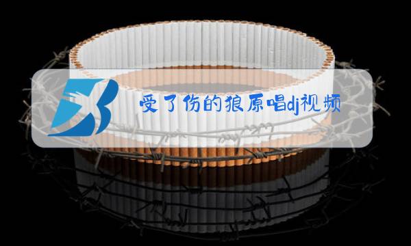 受了伤的狼原唱dj视频图片