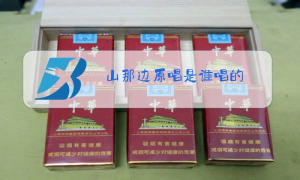 山那边原唱是谁唱的图片