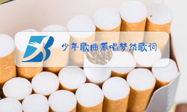 少年歌曲原唱梦然歌词图片