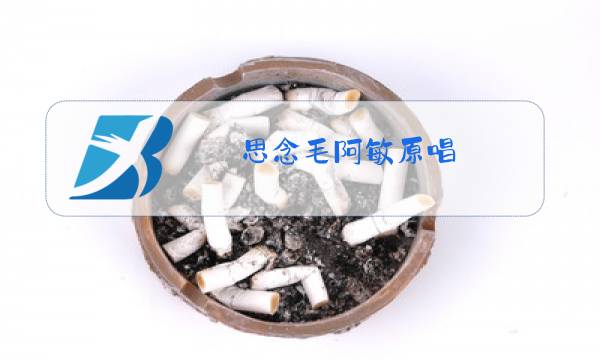 思念毛阿敏原唱图片