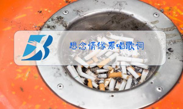 思念情缘原唱歌词图片