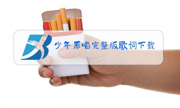 少年原唱完整版歌词下载图片