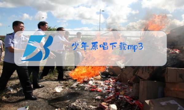 少年原唱下载mp3图片