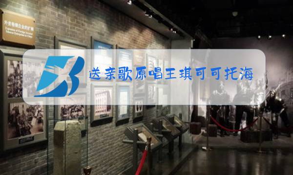 送亲歌原唱王琪可可托海图片