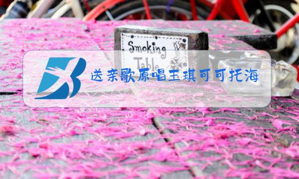 送亲歌原唱王琪可可托海洋仔图片