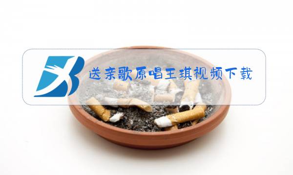 送亲歌原唱王琪视频下载图片