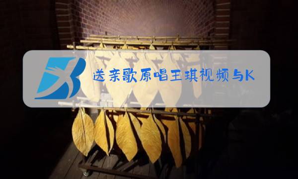 送亲歌原唱王琪视频与KTV图片