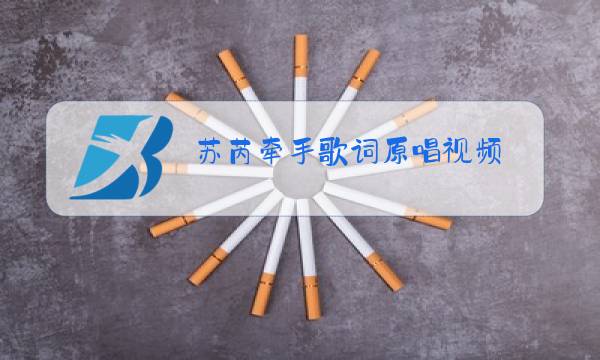 苏芮牵手歌词原唱视频图片